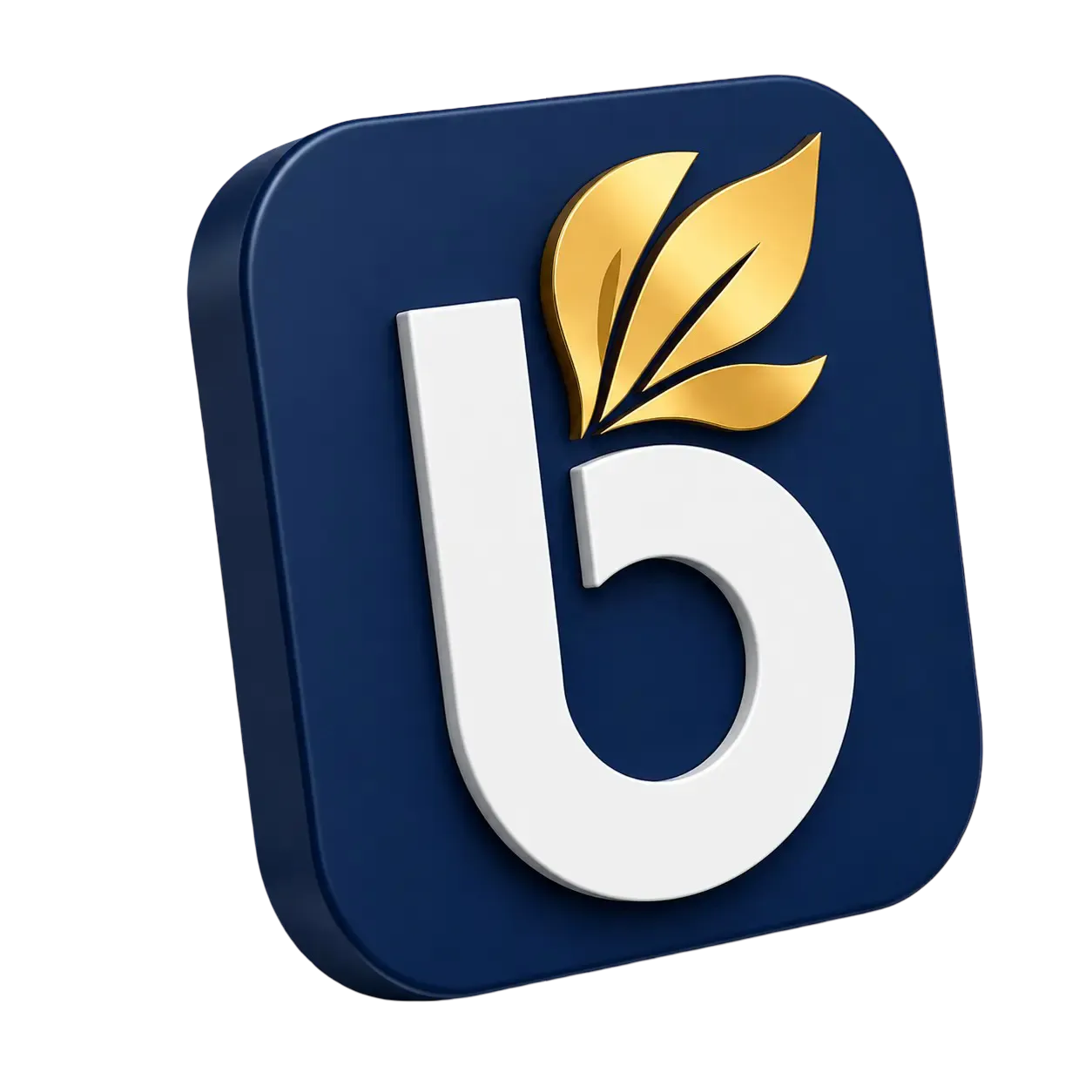 BinaHub Future Capability Partner