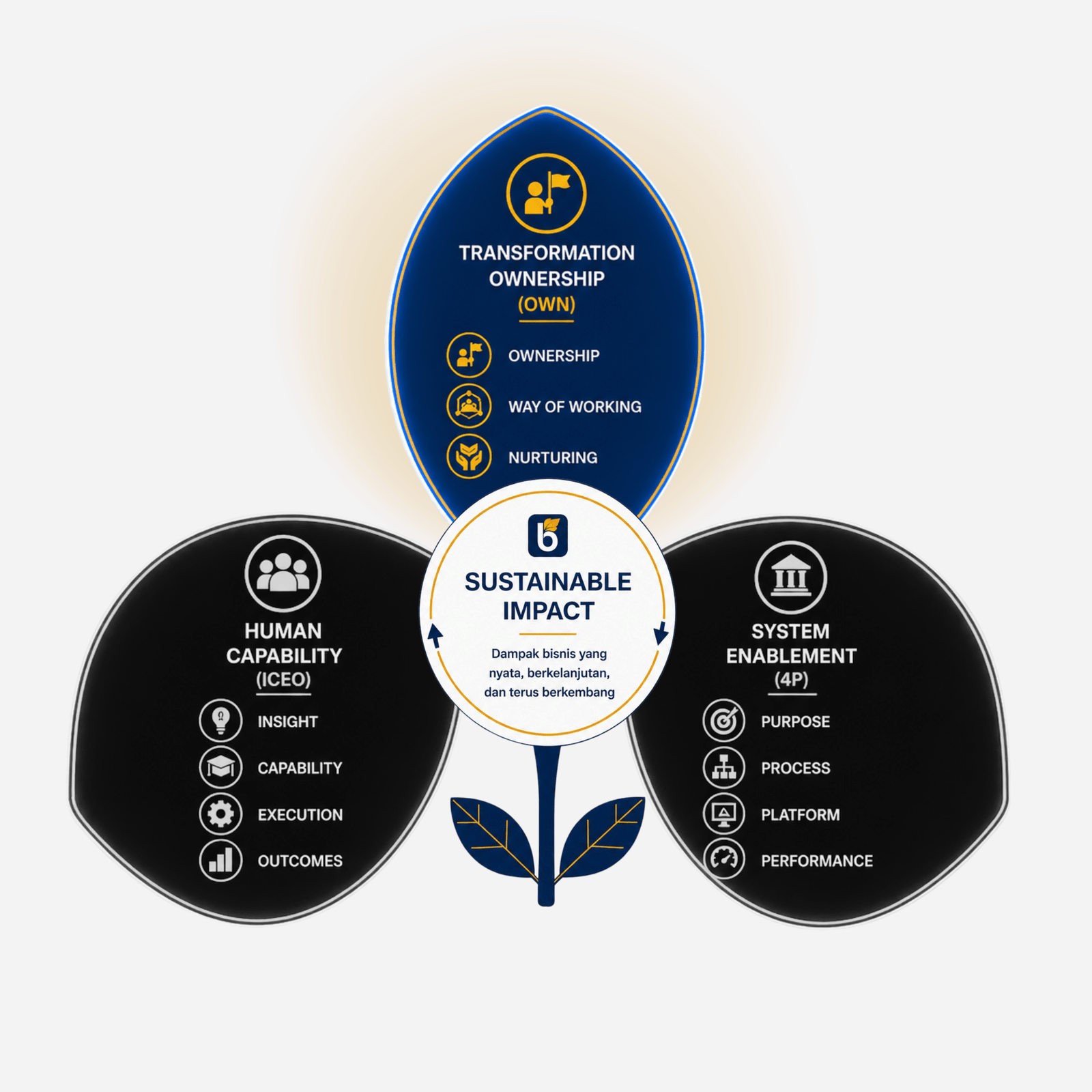 BinaHub Transformation Architecture - Transformation Ownership